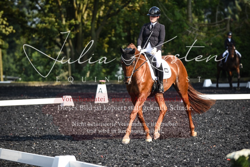 DSC_3262 | Pferde- und Turnierfotografie in Westsachsen. Pferdeportraits, Auftragszeichnungen und intuitive Kunst.