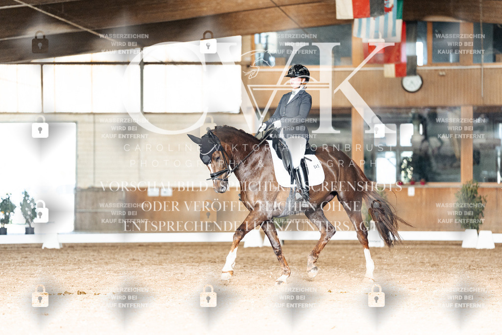 CK902716 | Turnierfotografie Pferdefotografie Trier Rheinland-Pfalz Pferdesport Reitsport Tierfotografie Sportfotografie Pferdevideo Pferdevideografie Equestrianvideography equestrianphotography  - Realisiert mit Pictrs.com
