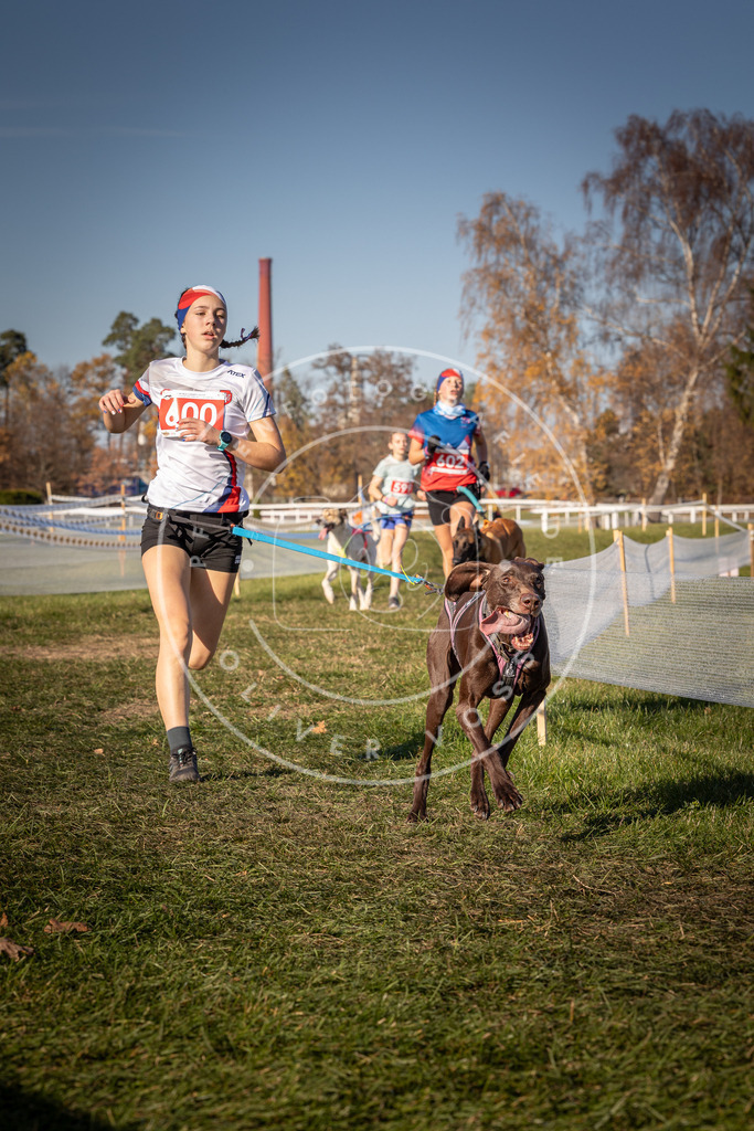 CaniXpix_0L8A8507 | Hundefotografie, Tierfotograf, Pfotenfotografie, Fotoshooting Hund, Hunde Portrait, Hundesport, Hundeportraits, Heideshooting, Hunde, Sportfotograf, Hundefotograf, Turnierhundsport, THS,  - Realisiert mit Pictrs.com