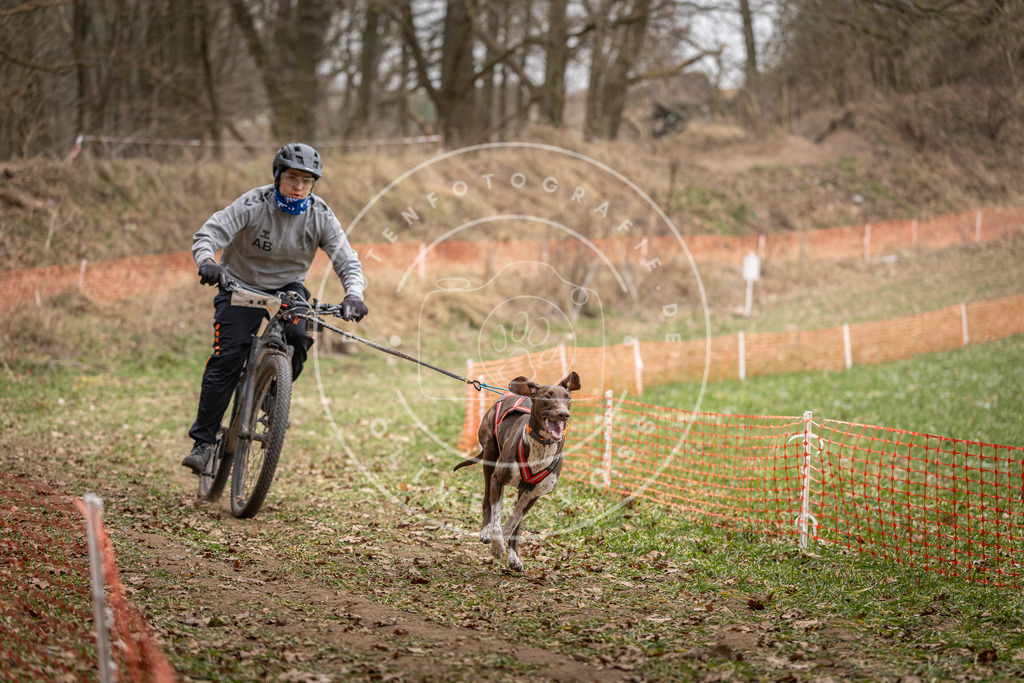 Pfotenfotografie_DV3A6904 | Hundefotografie, Tierfotograf, Pfotenfotografie, Fotoshooting Hund, Hunde Portrait, Hundesport, Hundeportraits, Heideshooting, Hunde, Sportfotograf, Hundefotograf, Turnierhundsport, THS,  - Realisiert mit Pictrs.com