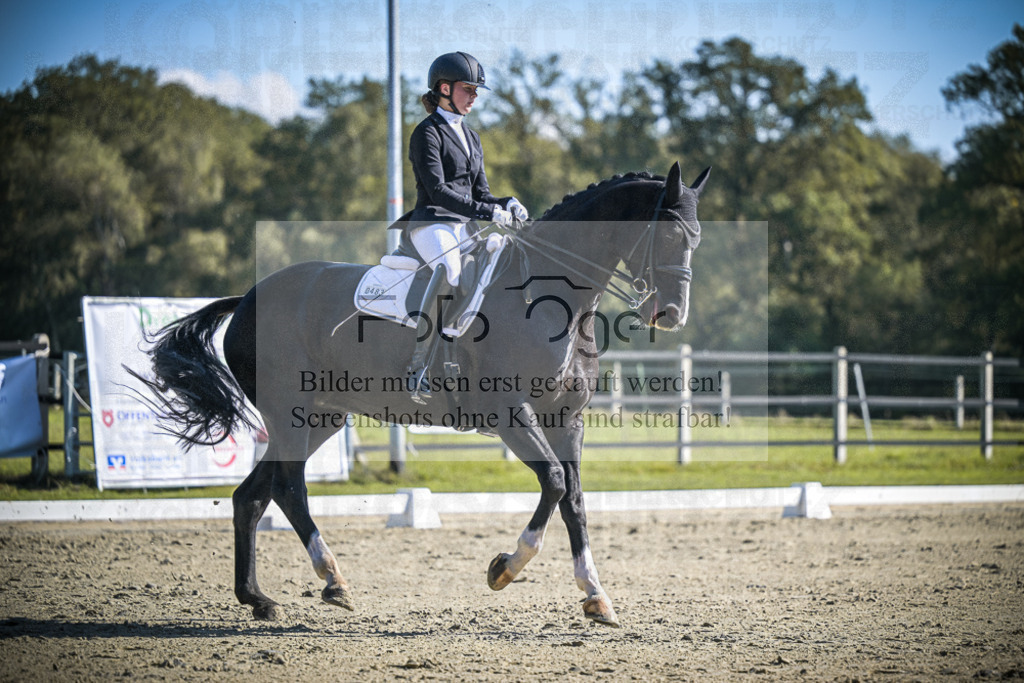 DOS_2512 | Entdecke hochwertige Reitturnierfotos von Foto Oger. Professionell, emotional und authentisch – jetzt Lieblingsmomente im Shop bestellen.Deutschlandweite Turnierfotografie. - Realisiert mit Pictrs.com