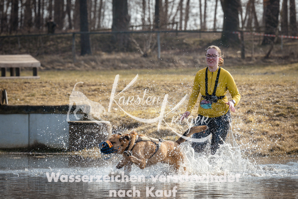 1116_ZZ93494 | kk-dogfotos