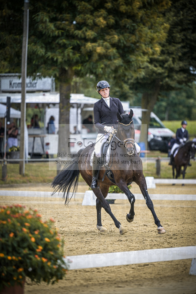 DOS_1602 | Entdecke hochwertige Reitturnierfotos von Foto Oger. Professionell, emotional und authentisch – jetzt Lieblingsmomente im Shop bestellen.Deutschlandweite Turnierfotografie. - Realisiert mit Pictrs.com