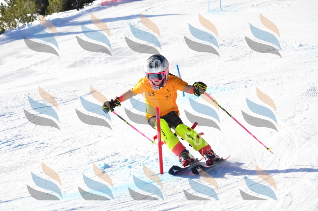 C6003 | holidayphoto