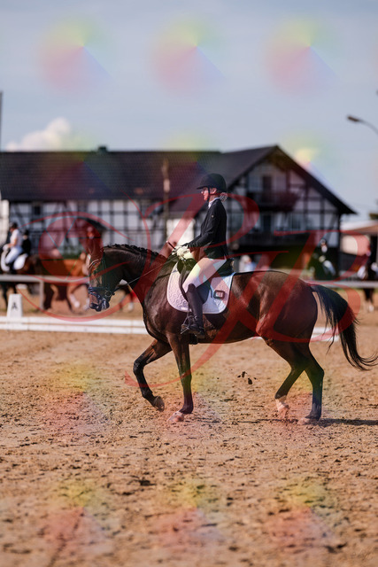 2026_10_03_Siefer-Hof_125827_Z81_48556996 | Professionelle Reitsport-, Turnier- und Eventfotografie von Robert Broda. Galerien mit ausgewählten und bearbeiteten Bildern direkt online ansehen und bestellen.