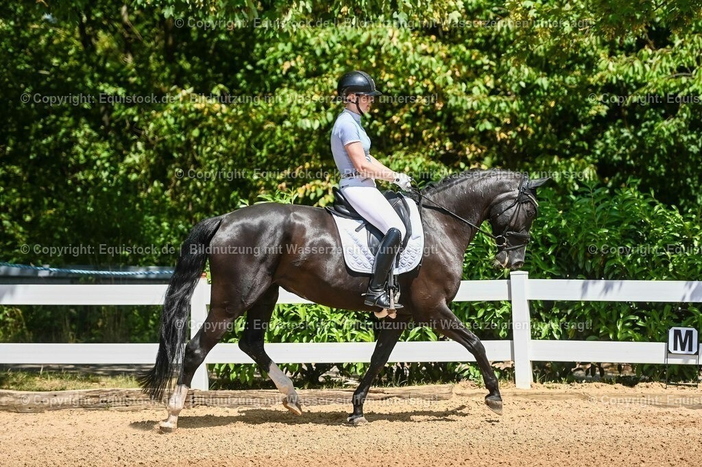 20230715_02_Dressurreiterprüfung Kl.L_0027 | equistock