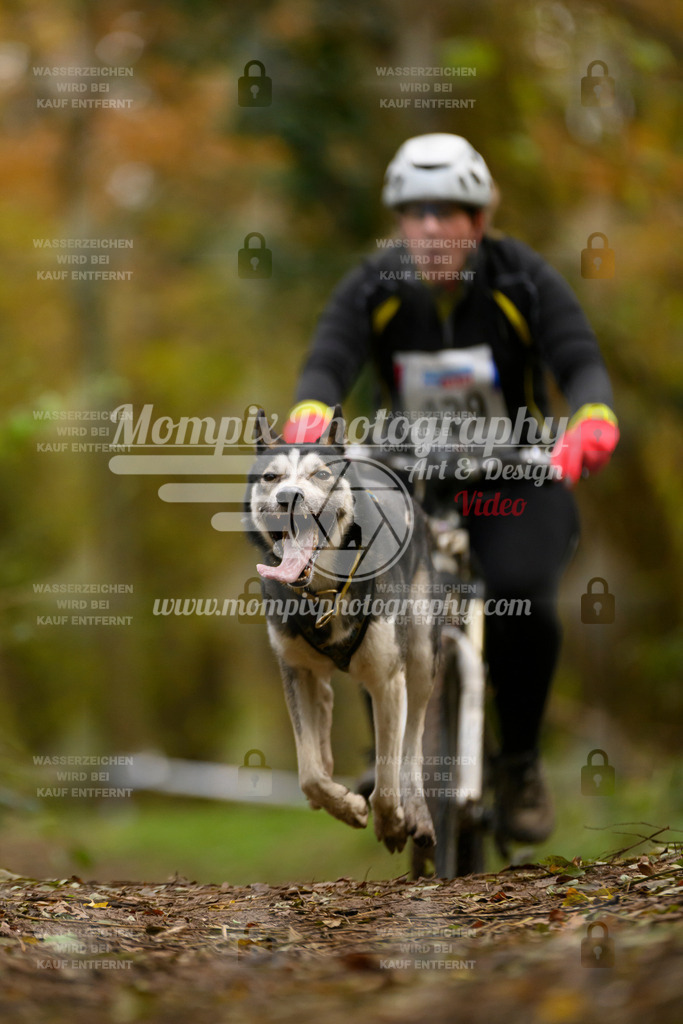 MompixPhotography_Bischwiller24_SA_VTT-61 | PayLife