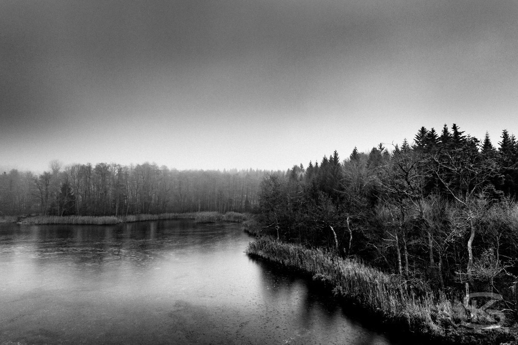 Im Nebel – Minimalistische Seelandschaften in Schwarzweiß | Reduzierte Schwarzweiß-Fotografie-Serie von nebelverhangenen Seelandschaften. Reduzierte Kompositionen mit Baumsilhouetten und diffusem Morgenlicht von Stefan Kuhn. Limitierte Fine Art Prints. - Realisiert mit Pictrs.com