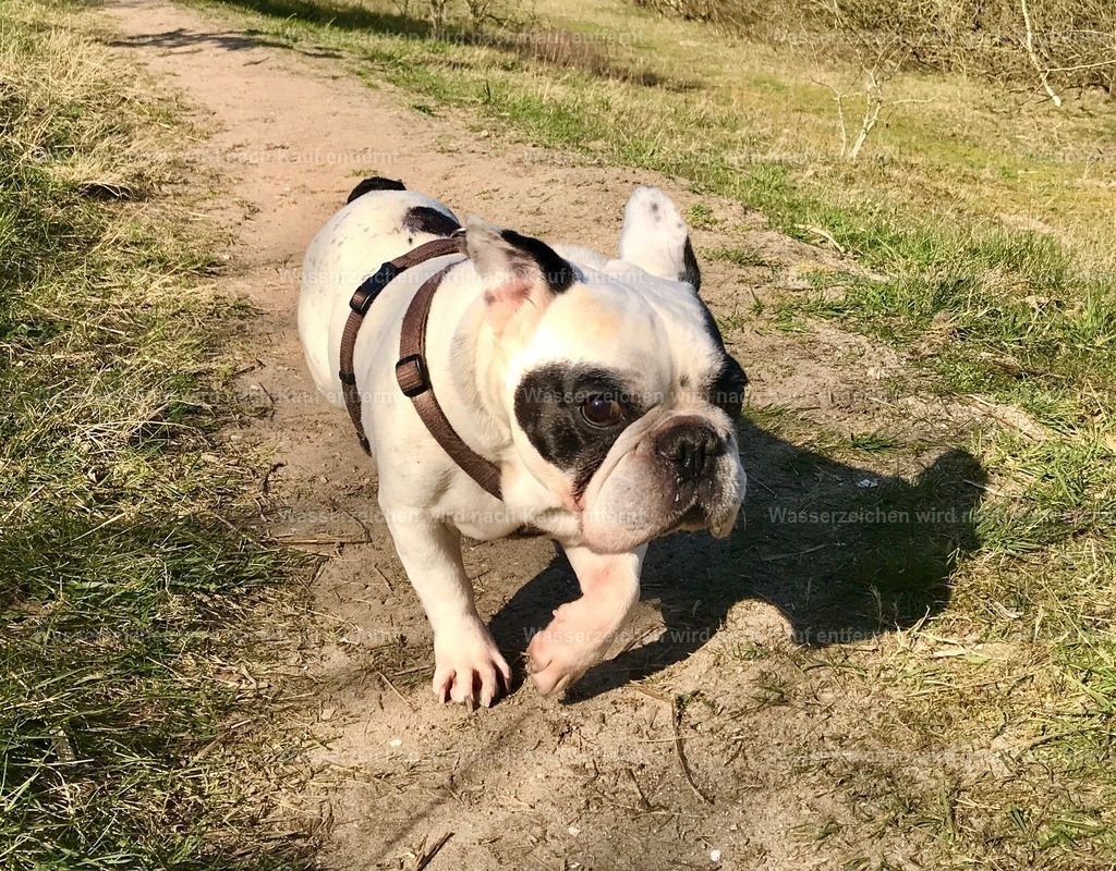 IMG_8854 | heikomoeller - Realisiert mit Pictrs.com