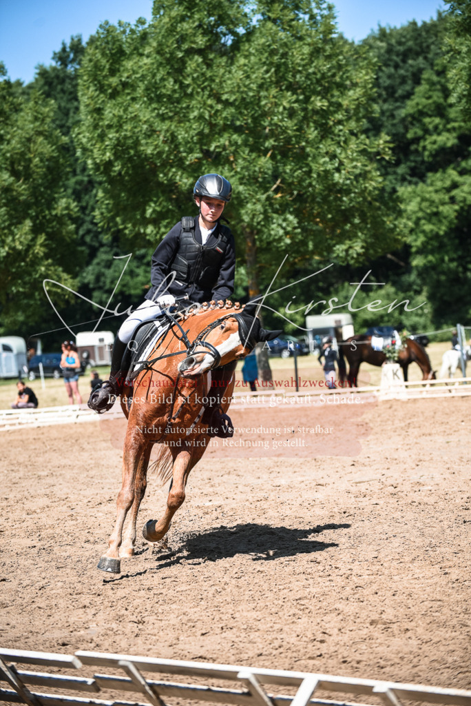 DSC_3287 | Pferde- und Turnierfotografie in Westsachsen. Pferdeportraits, Auftragszeichnungen und intuitive Kunst.