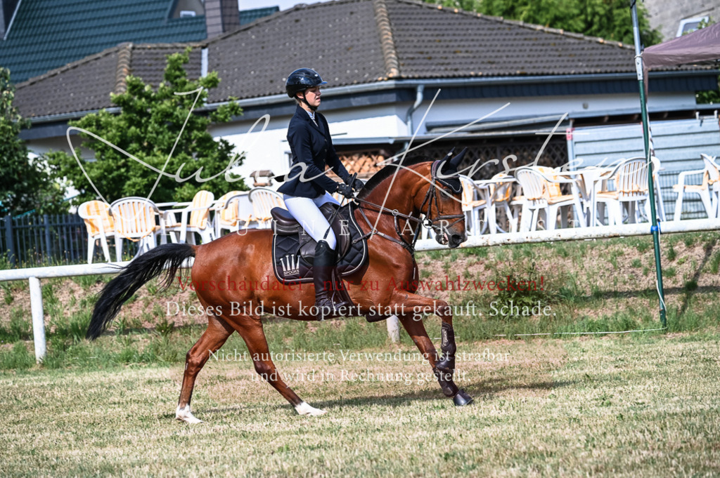 DSC_7897 | Pferde- und Turnierfotografie in Westsachsen. Pferdeportraits, Auftragszeichnungen und intuitive Kunst.