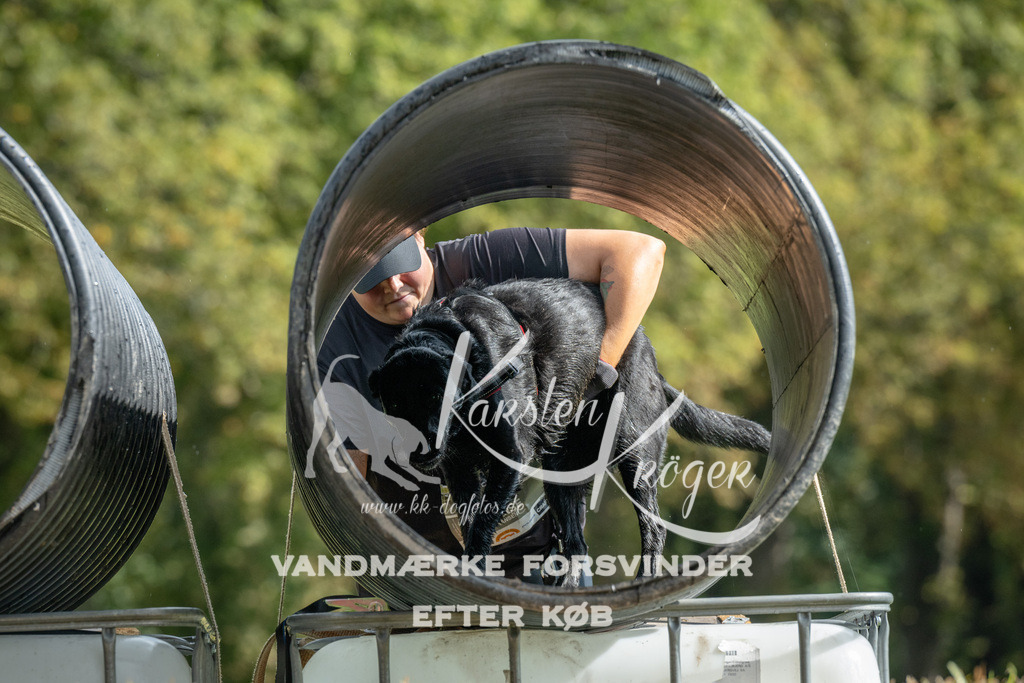 1121_ZZ93884 | kk-dogfotos