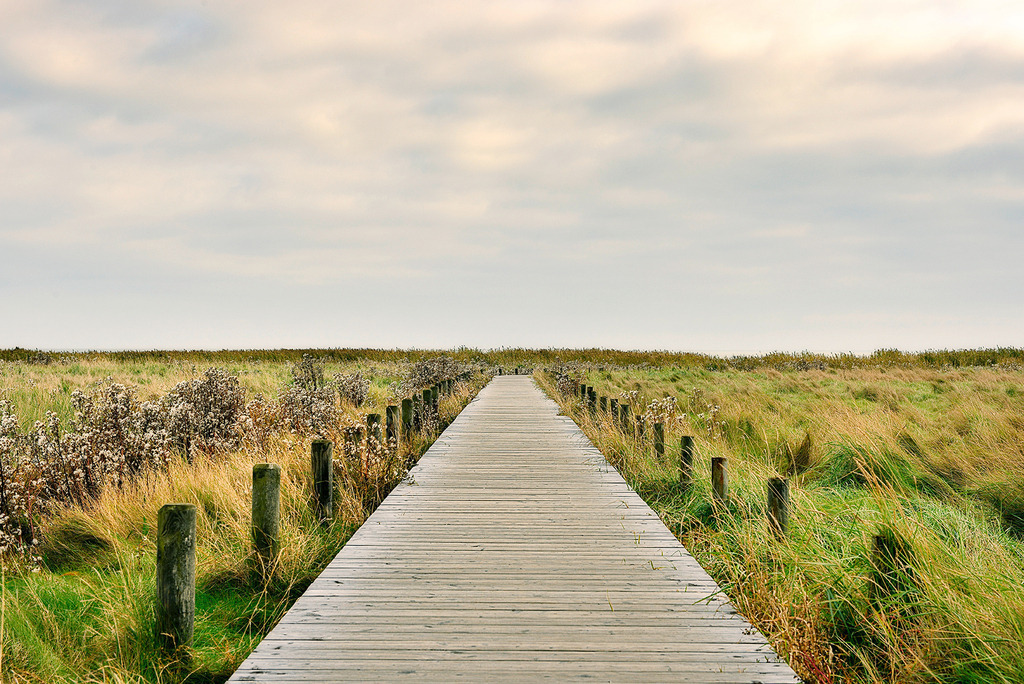 Holzweg zum Watt, Sylt | Holzsteg in den Salzwiesen zum Watt auf Sylt - Realisiert mit Pictrs.com