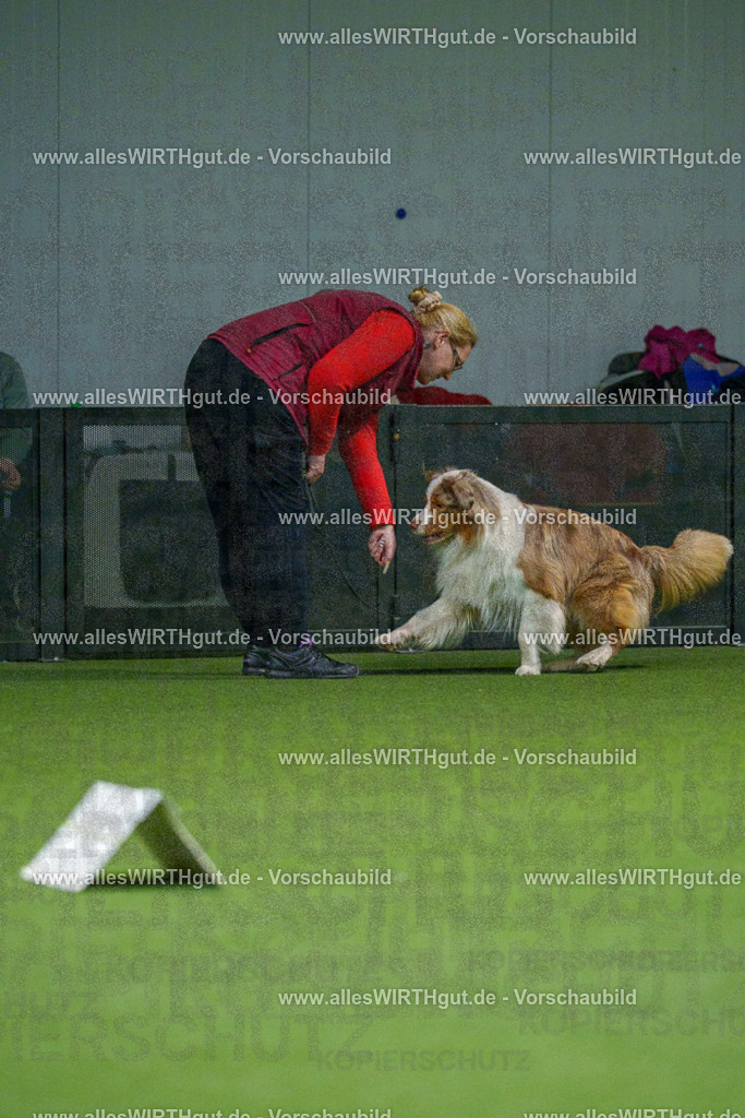 7R505256 | Professionelle Tierfotografie in Mönchengladbach von Daniel Wirth (allesWIRTHgut). Liebevolle & natürliche Bilder von Hunden & Katzen für unvergessliche Erinnerungen.