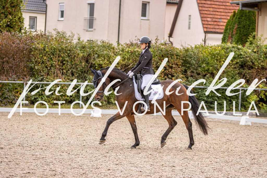 IMG_2956 | Erleben Sie dynamische Sport- und emotionale Tierfotografie in Süddeutschland mit Fotos von Paula. Spezialisiert auf Pferde- und Hundefotografie sowie Sportevents. Kontaktieren Sie mich für einzigartige und ausdrucksstarke Bilder Ihrer besonderen Momente.