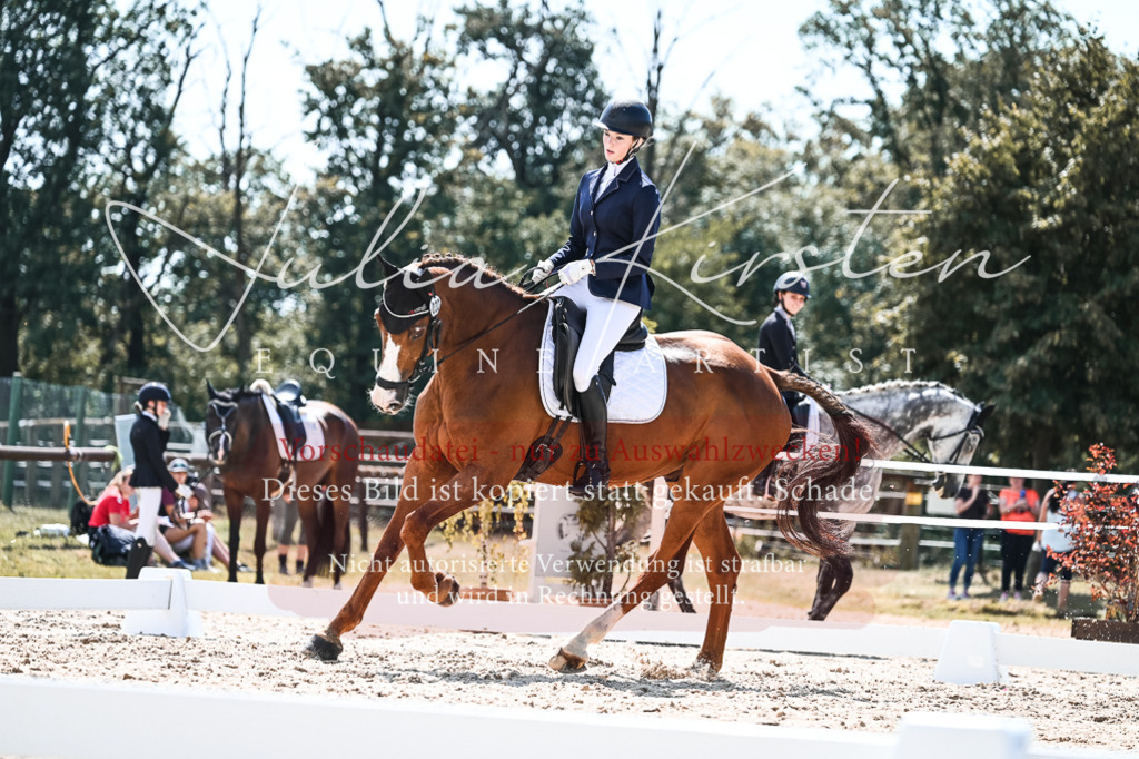 DSC_5552 | Pferde- und Turnierfotografie in Westsachsen. Pferdeportraits, Auftragszeichnungen und intuitive Kunst.
