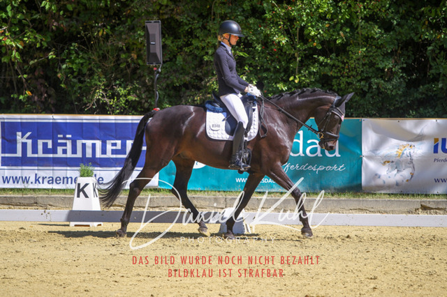 DKP42098 | Turniersportfotografie; Pferdefotografie; Dressurfotografie