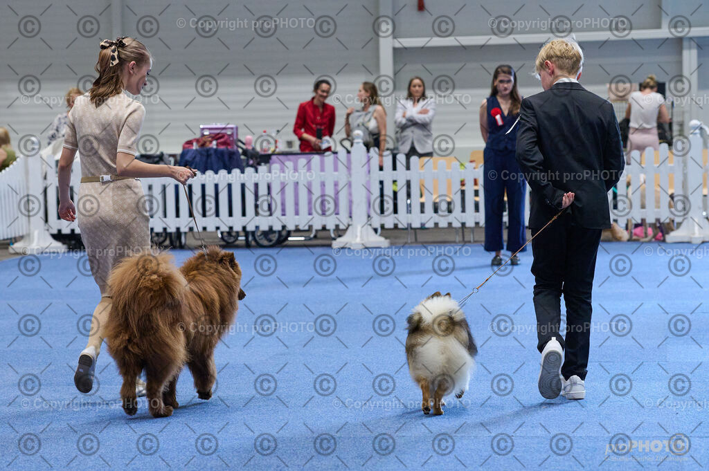 202406_ÖKV-IHA-Tulln24_DSC_4736 | proPHOTO - Realisiert mit Pictrs.com