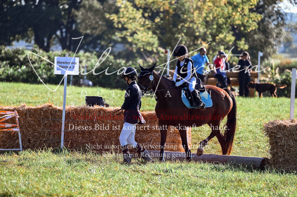 DSC_0289 | Pferde- und Turnierfotografie in Westsachsen. Pferdeportraits, Auftragszeichnungen und intuitive Kunst.