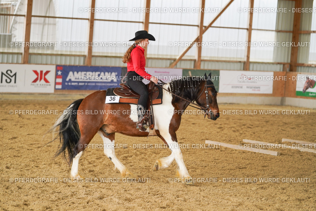 DSC04213 | Pferdegrafie