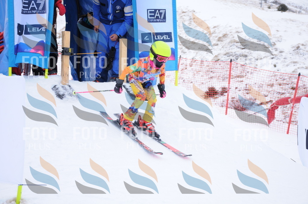 DSC_7943 | holidayphoto