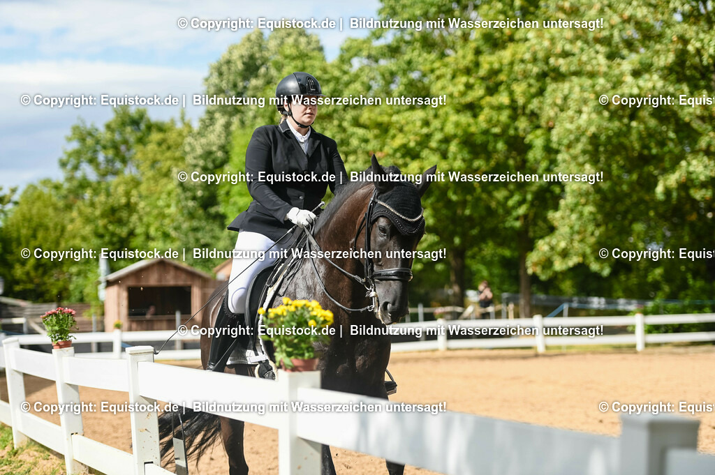 20230716_01_Dressurprüfung Kl.M_0579 | equistock