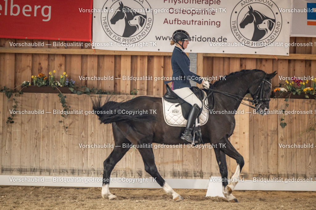 _D5A9268 | Emotionale Pferde- & People-Fotografie rund um Heidelberg, Leimen & Umgebung. Natürliche Fotos von Pferd, Mensch & Familie. Jetzt Termin sichern!