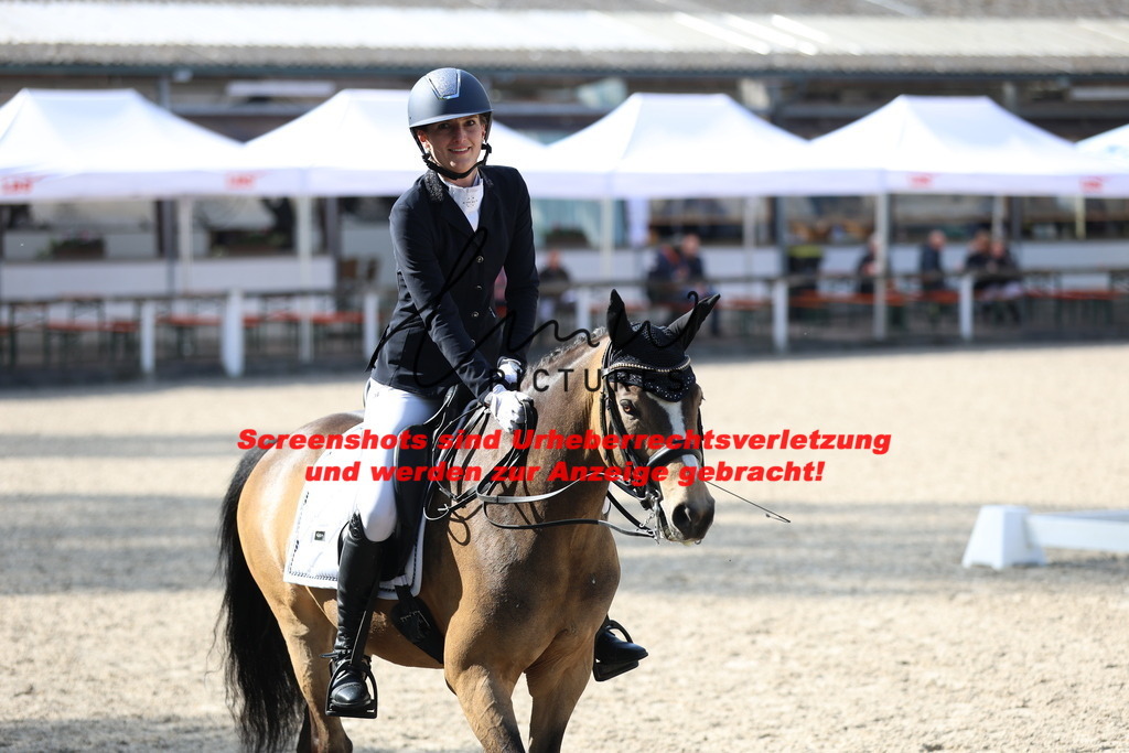 A40A3760 | lmwpictures - Realisiert mit Pictrs.com