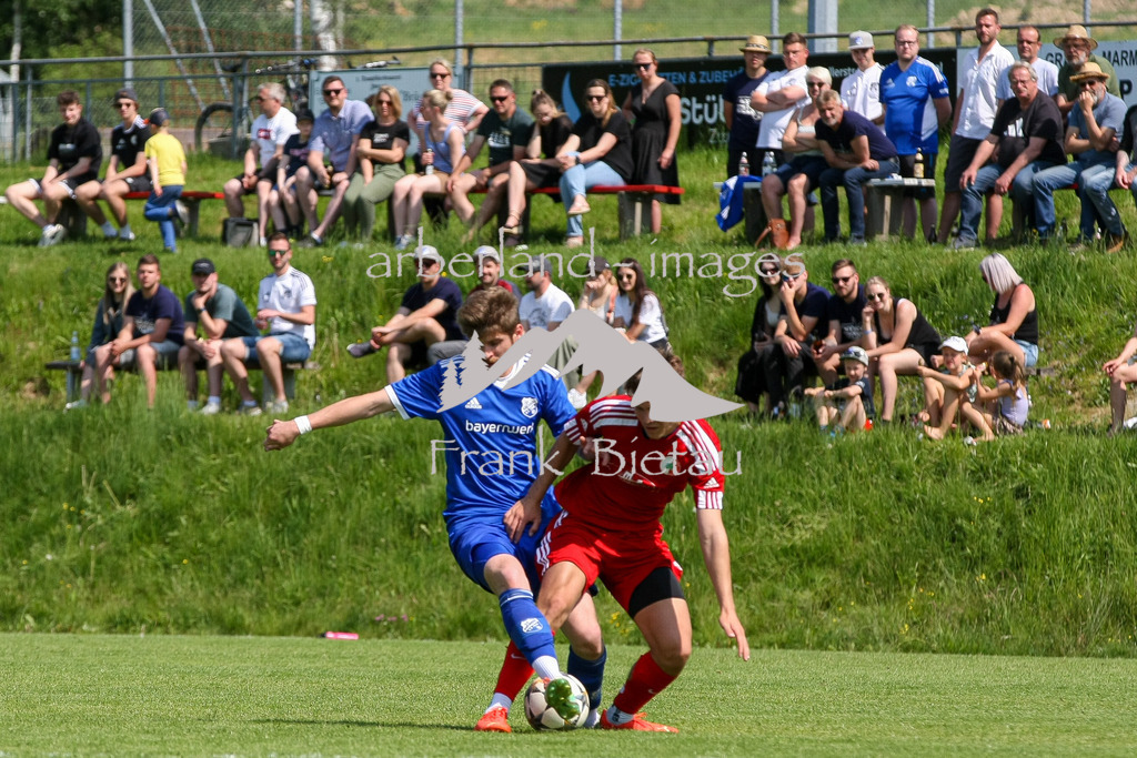 993T3539 | li. Michael Neumeier