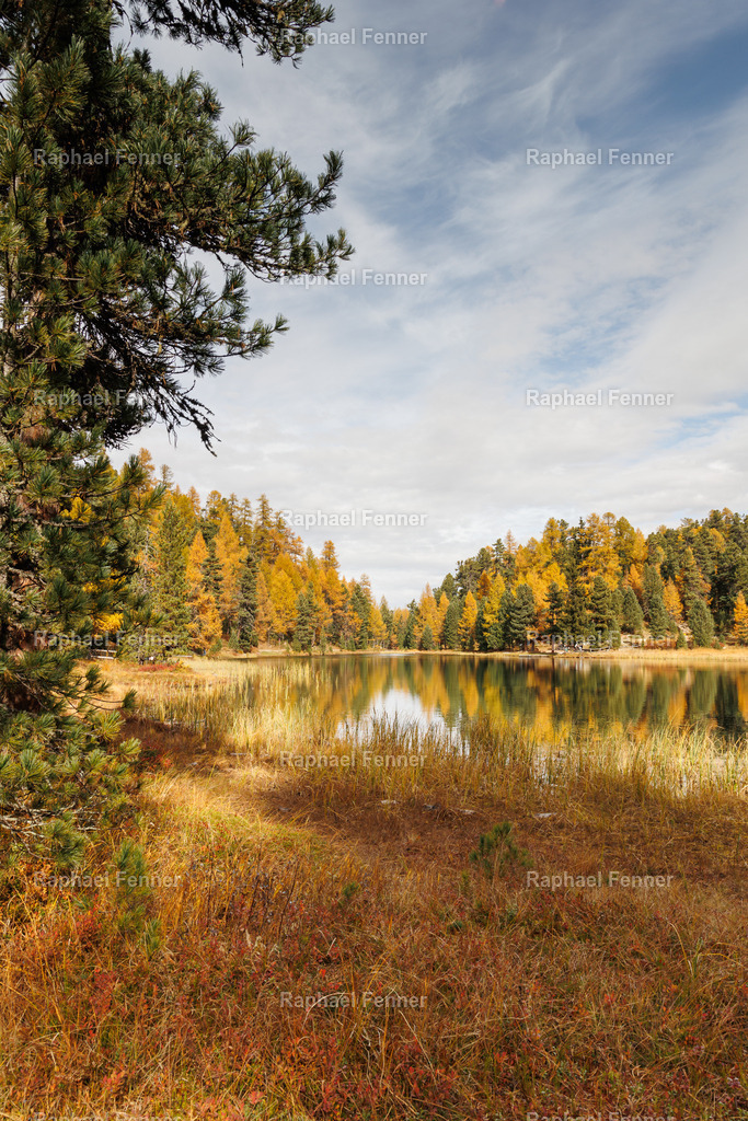 IMG_9421 | Erlebe eindrucksvolle Landschaftsfotografie aus dem Engadin und darüber hinaus. Raphael Fenner bietet zudem professionelle Fotoaufträge für Hochzeiten, Porträts und Unternehmen. Jetzt entdecken und inspirieren lassen!