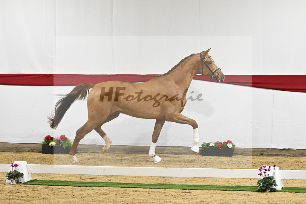 Kat-Nr. 52 v. Vivino_ZG Syha u Winkler_63221448 | hf-fotografie - Realizzato con Pictrs.com