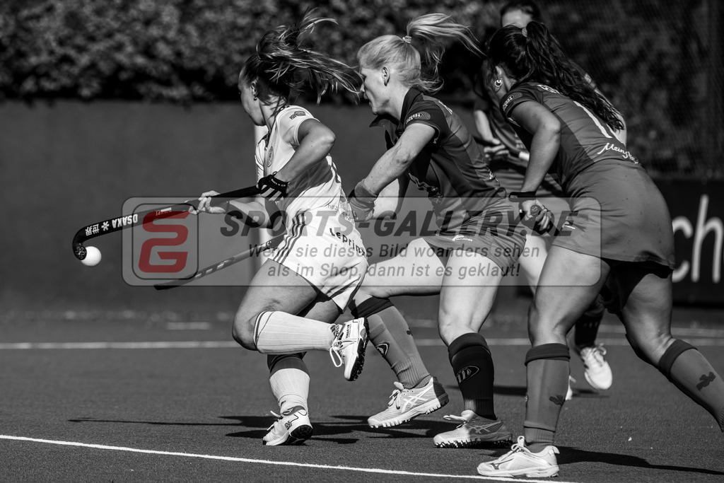 AKa GTHGC - BHC 4-3 nP 15.09.24 SG -8424 | Hockey,Sport,Fieldhockey,1.Bundesliga,2.Bundesliga,Sportfotografie,Shop,Sportphotography,Feldhockey,Hockeyliga