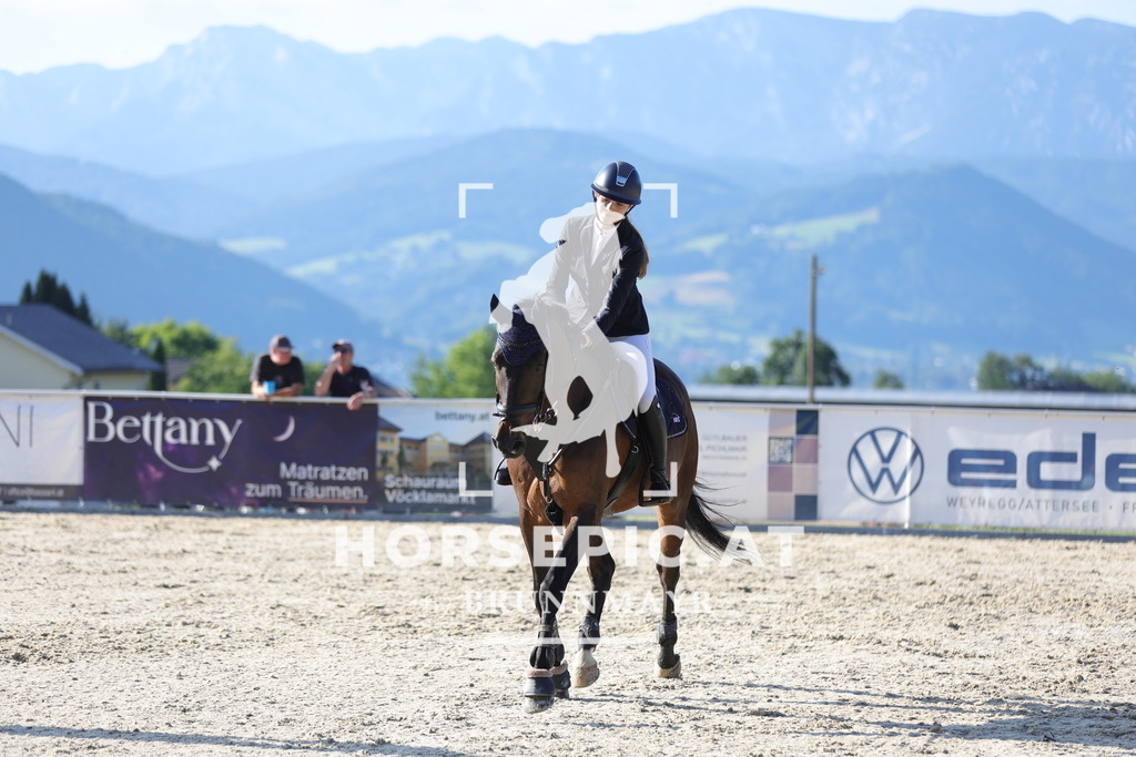 0P6A1237 | Willkommen bei Brunnmayr - Design & Fotografie – Ihrem Spezialisten für Reitturniere und Pferdeveranstaltungen in Oberösterreich, Salzburg und Bayern! Seit über 17 Jahren sind wir leidenschaftlich dabei.