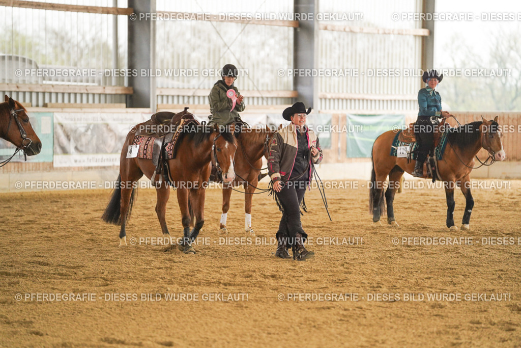 DSC00249 | Pferdegrafie