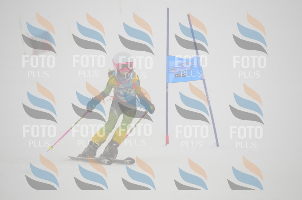 C1221 | holidayphoto