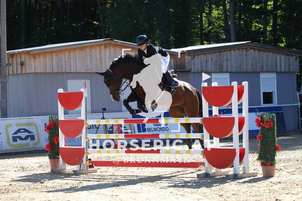 DL2Q2512 | Willkommen bei Brunnmayr - Design & Fotografie – Ihrem Spezialisten für Reitturniere und Pferdeveranstaltungen in Oberösterreich, Salzburg und Bayern! Seit über 17 Jahren sind wir leidenschaftlich dabei.