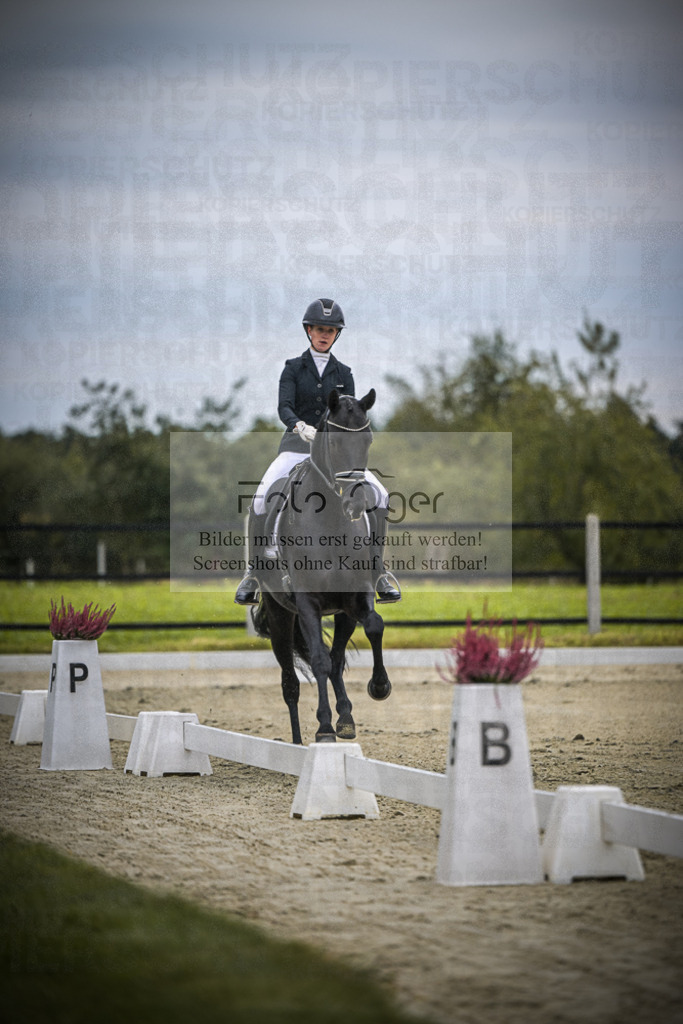 DOS_0788 | Entdecke hochwertige Reitturnierfotos von Foto Oger. Professionell, emotional und authentisch – jetzt Lieblingsmomente im Shop bestellen.Deutschlandweite Turnierfotografie. - Realisiert mit Pictrs.com