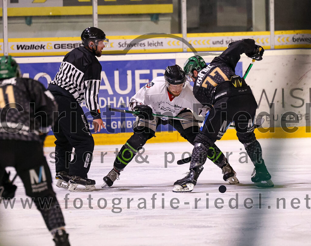 2024-03-08_017_TSV_Erding_gegen_EHC_Koenigsbrunn | Erding, Deutschland, 08.03.2024:
Eishockey, Bayernliga Playoffs 2023 / 2024, 1. Spieltag, TSV Erding gegen EHC Königsbrunn, Endergebnis: 3:0

Philipp Michl (Erding Gladiators, #77)

Foto: Christian Riedel / fotografie-riedel.net
