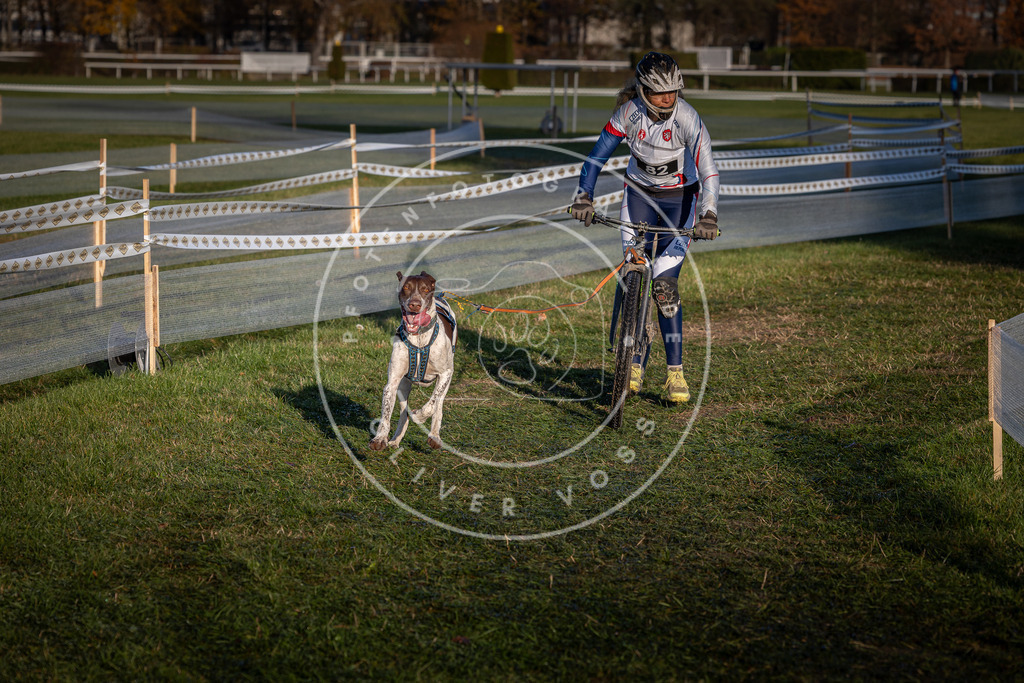 CaniXpix_0L8A3725 | Hundefotografie, Tierfotograf, Pfotenfotografie, Fotoshooting Hund, Hunde Portrait, Hundesport, Hundeportraits, Heideshooting, Hunde, Sportfotograf, Hundefotograf, Turnierhundsport, THS,  - Realisiert mit Pictrs.com