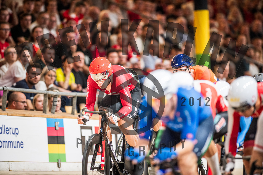 DKP-6199 | Drew Kaplan Photography