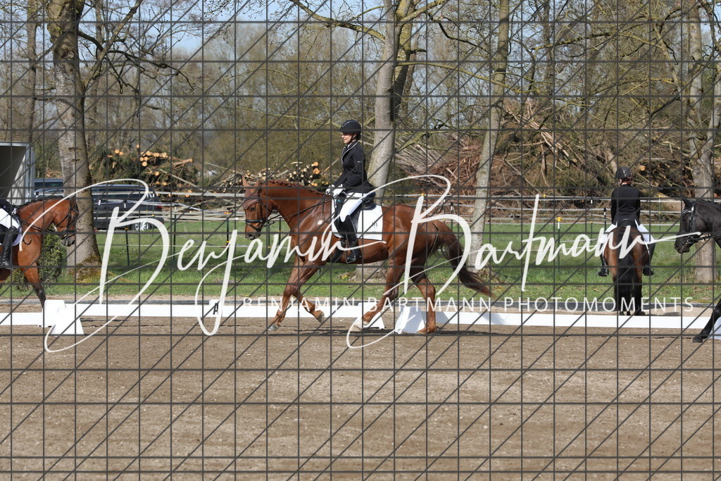 AZ2A2868 | Benjamin Bartmann Photomoments