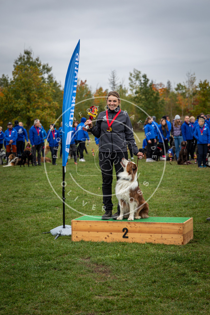 Pfotenfotografie_0L8A0537 | Hundefotografie, Tierfotograf, Pfotenfotografie, Fotoshooting Hund, Hunde Portrait, Hundesport, Hundeportraits, Heideshooting, Hunde, Sportfotograf, Hundefotograf, Turnierhundsport, THS,  - Realisiert mit Pictrs.com