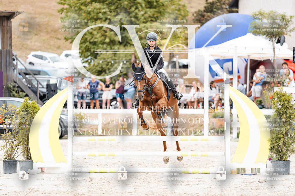 CK908378 | Turnierfotografie Pferdefotografie Trier Rheinland-Pfalz Pferdesport Reitsport Tierfotografie Sportfotografie Pferdevideo Pferdevideografie Equestrianvideography equestrianphotography  - Realisiert mit Pictrs.com
