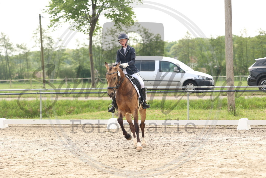 994A6323 | sabrinanicolaifotografie - Realisiert mit Pictrs.com