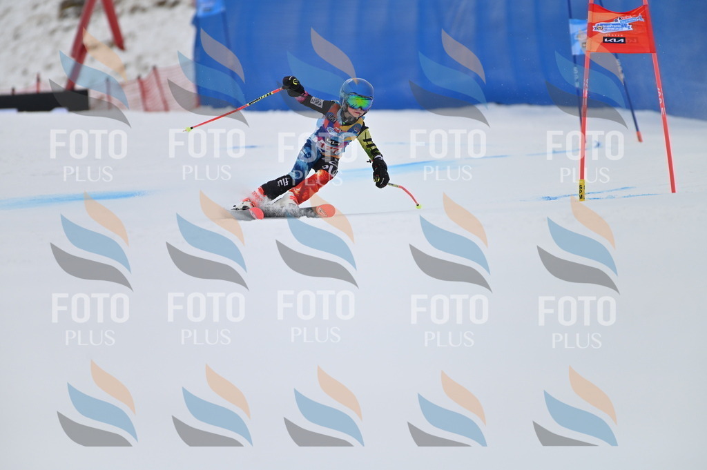 BGV_0919 | holidayphoto