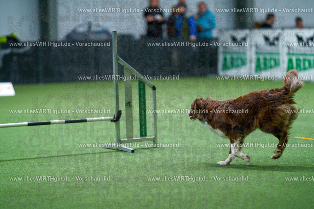 7R501682 | Professionelle Tierfotografie in Mönchengladbach von Daniel Wirth (allesWIRTHgut). Liebevolle & natürliche Bilder von Hunden & Katzen für unvergessliche Erinnerungen.