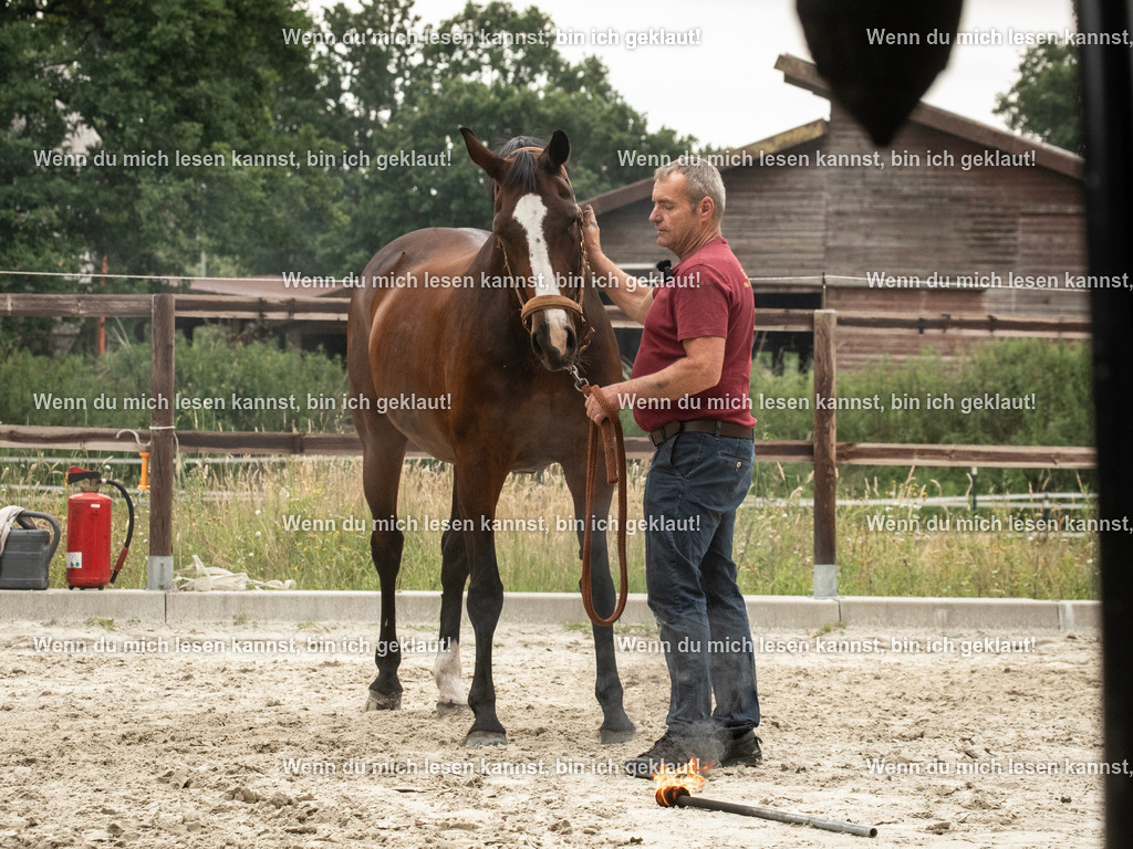 598A7547 | photographylinaismer - Realisiert mit Pictrs.com