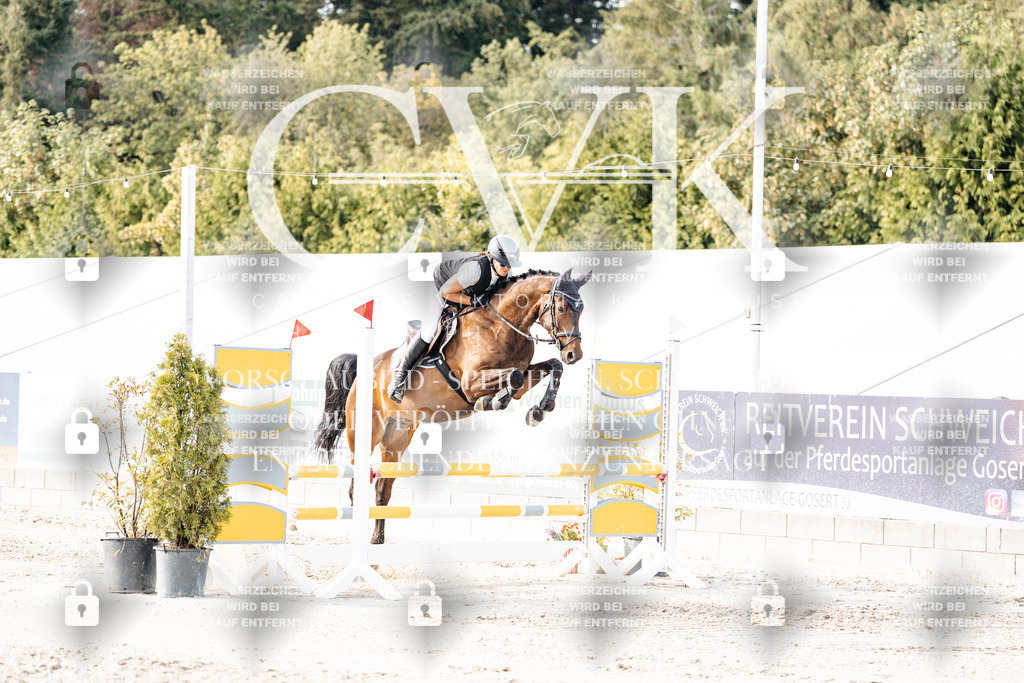 CK906294 | Turnierfotografie Pferdefotografie Trier Rheinland-Pfalz Pferdesport Reitsport Tierfotografie Sportfotografie Pferdevideo Pferdevideografie Equestrianvideography equestrianphotography  - Realisiert mit Pictrs.com