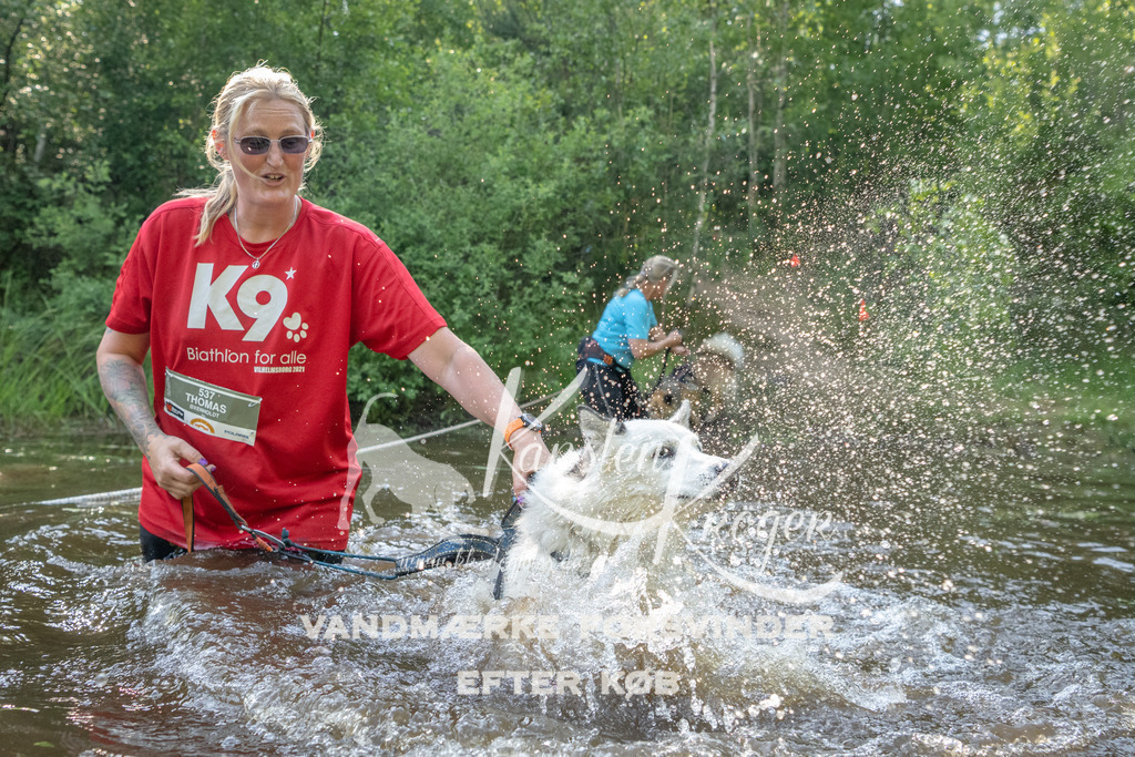 1749DKK992831 | kk-dogfotos