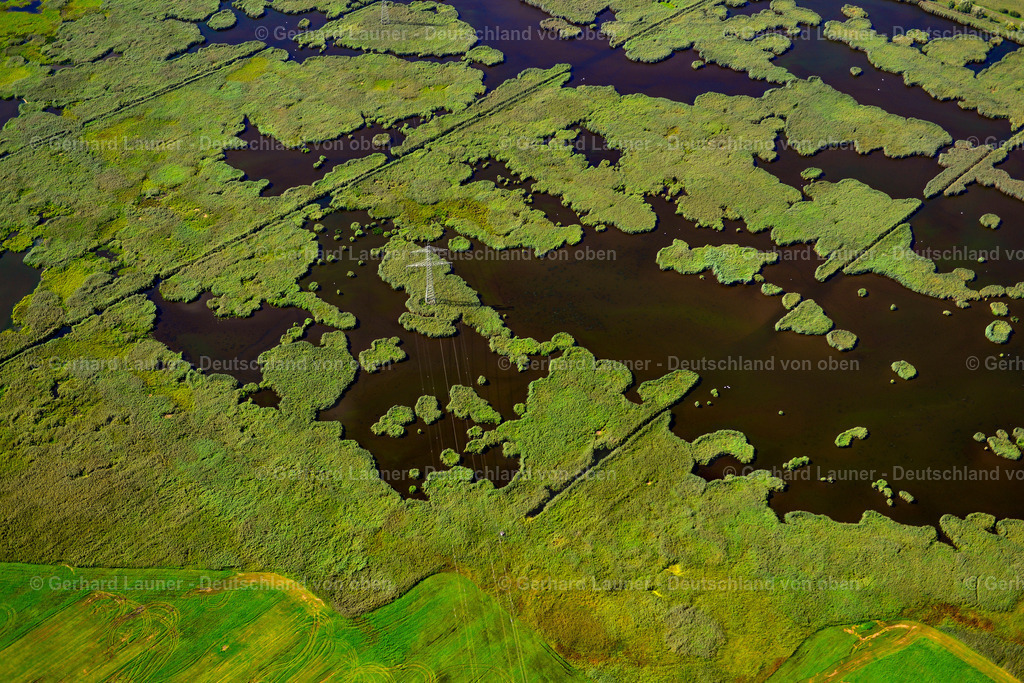 3637374 | Spreewald Unesco-Biosphärenreservat, LüBBEN (SPREEWALD) 25.08.2016 Feuchtgebiet bei Lübben (Spreewald) im Bundesland Brandenburg. // Wet area near Luebben (Spreewald) in the state Brandenburg. Foto: Gerhard Launer